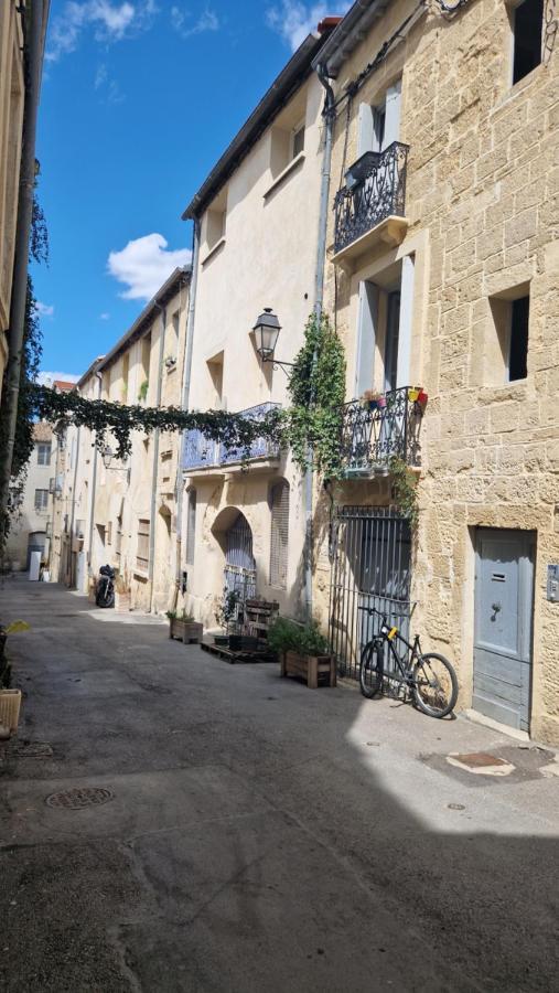 Le Petit Olivier En Coeur De Ville + Parking Incl. Montpellier Exterior photo